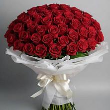 Букет 101 Красная роза Блэк Мэджик в Ковалево