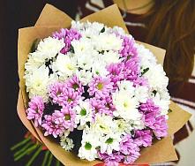Букет цветов из:  Хризантемы #REPLACE_PRED# Ковалево