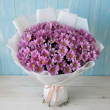 Букет цветов из:  Хризантемы в Ковалево