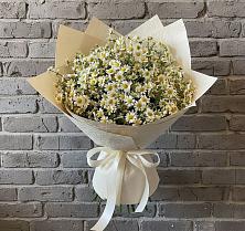 Букет цветов из:  Ромашки в Ковалево
