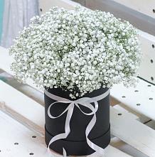 Цветочная композиция из Гипсофила в шляпной коробке #REPLACE_PRED# Ковалево