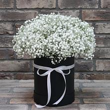Цветочная композиция из Гипсофила в шляпной коробке в Ковалево