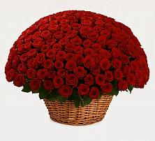 Премиум букет из: Розы в Ковалево