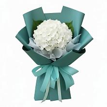 Букет цветов из:  Гортензия в Ковалево